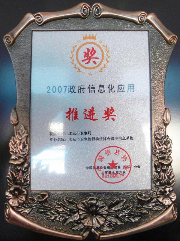 2007政府信息化应用推进奖